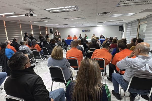 IMG_1426 (1) IMG_1426 (1)