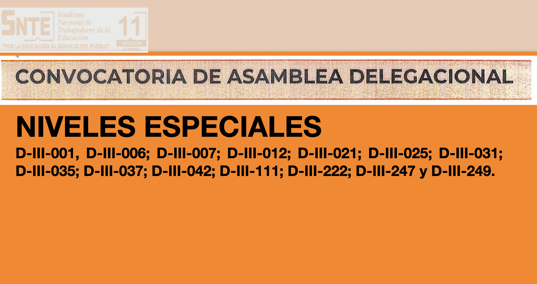 Convocatorias de Asambleas Delegaciones NIVELES ESPECIALES