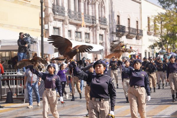 586023579_1437558994584137_8665674843246138185_n