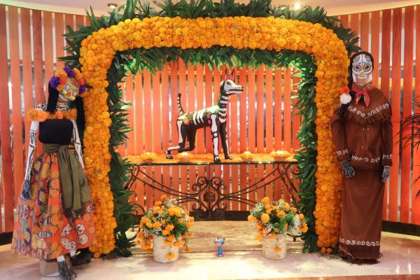 573382134_846682967870687_6148757999696108086_n