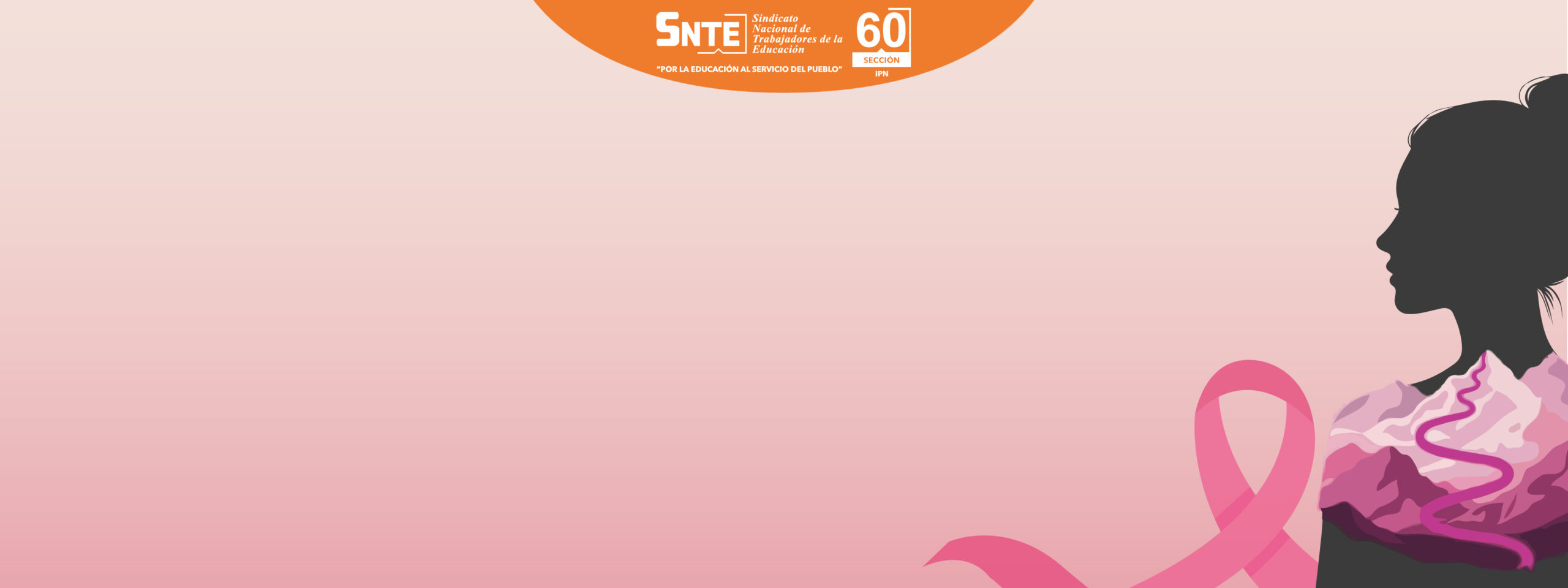 2do. Concurso de Carteles de Cancer de Mama, Sección 60 del SNTE